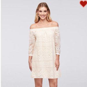 Off-The-Shoulder 3/4 Sleeve Lace Shift Dress
